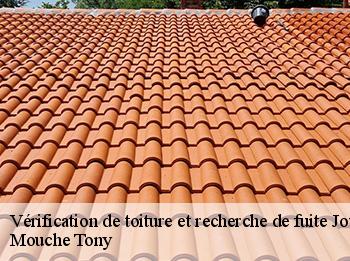 Vérification de toiture et recherche de fuite  jouy-en-josas-78350 Mouche Tony