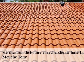 Vérification de toiture et recherche de fuite longvilliers-78730 Mouche Tony