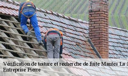 Vérification de toiture et recherche de fuite