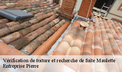Vérification de toiture et recherche de fuite 78550