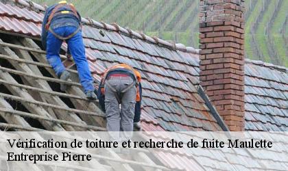 Vérification de toiture et recherche de fuite