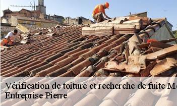 Vérification de toiture et recherche de fuite medan-78670 Entreprise Pierre