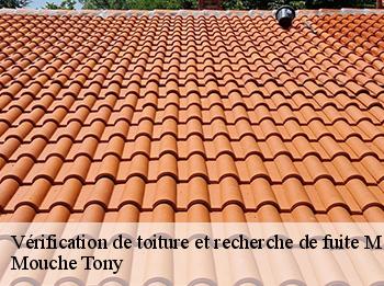 Vérification de toiture et recherche de fuite  meulan-78250 Mouche Tony