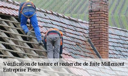 Vérification de toiture et recherche de fuite