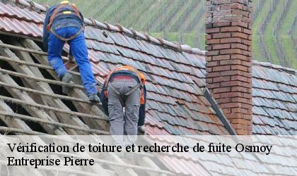 Vérification de toiture et recherche de fuite