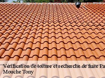 Vérification de toiture et recherche de fuite  paray-douaville-78660 Mouche Tony
