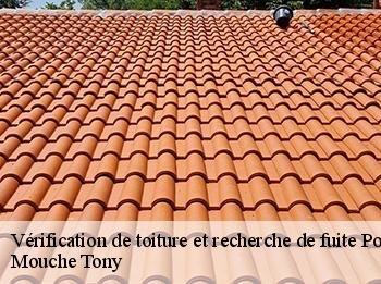 Vérification de toiture et recherche de fuite  port-villez-78270 Mouche Tony