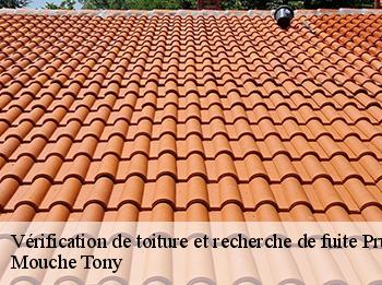 Vérification de toiture et recherche de fuite  prunay-le-temple-78910 Mouche Tony