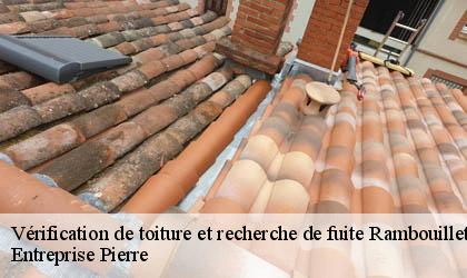 Vérification de toiture et recherche de fuite 78120