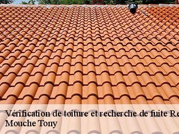 Vérification de toiture et recherche de fuite  rennemoulin-78590 Mouche Tony