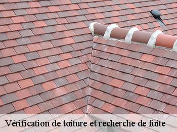 Vérification de toiture et recherche de fuite 78730