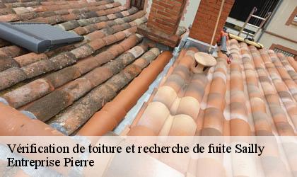 Vérification de toiture et recherche de fuite 78440