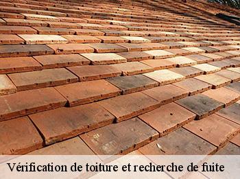Vérification de toiture et recherche de fuite