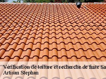 Vérification de toiture et recherche de fuite  saint-martin-la-garenne-78520 Artisan Stephan