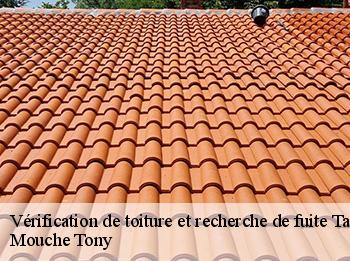 Vérification de toiture et recherche de fuite  tacoignieres-78910 Mouche Tony