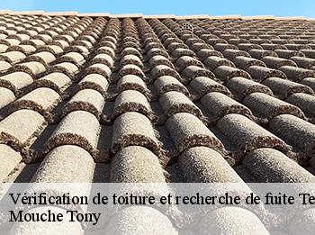 Vérification de toiture et recherche de fuite 78250