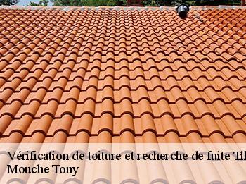 Vérification de toiture et recherche de fuite  tilly-78790 Mouche Tony