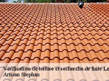 Vérification de toiture et recherche de fuite  le-tremblay-sur-mauldre-78490 Artisan Stephan