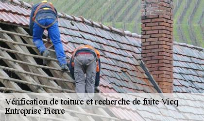 Vérification de toiture et recherche de fuite