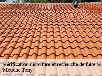 Vérification de toiture et recherche de fuite  villennes-sur-seine-78670 Mouche Tony