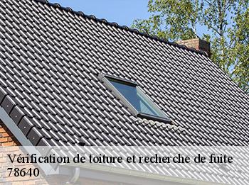 Vérification de toiture et recherche de fuite  78640