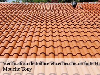 Vérification de toiture et recherche de fuite hautil-78510 Mouche Tony