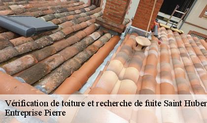 Vérification de toiture et recherche de fuite 78690