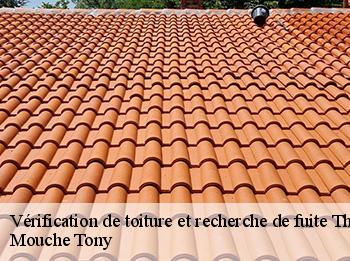 Vérification de toiture et recherche de fuite  thionville-sur-opton-78550 Mouche Tony