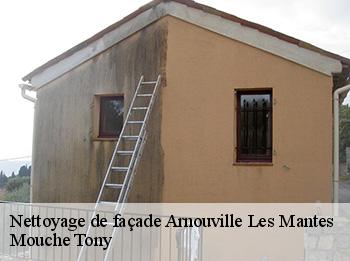 Nettoyage de façade  arnouville-les-mantes-78790 Mouche Tony