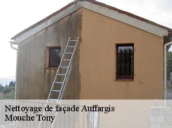 Nettoyage de façade  auffargis-78610 Mouche Tony