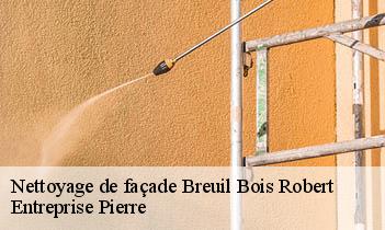Nettoyage de façade  breuil-bois-robert-78930 Entreprise Pierre