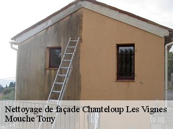 Nettoyage de façade  chanteloup-les-vignes-78570 Mouche Tony