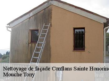 Nettoyage de façade  conflans-sainte-honorine-78700 Mouche Tony