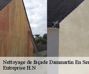 Nettoyage de façade  dammartin-en-serve-78111 Entreprise H.N