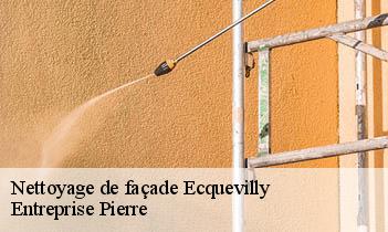 Nettoyage de façade ecquevilly-78920 Entreprise Pierre
