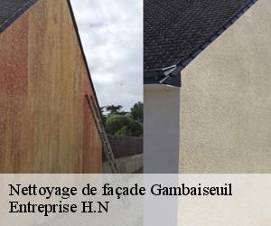 Nettoyage de façade  gambaiseuil-78490 Entreprise H.N