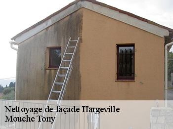 Nettoyage de façade  hargeville-78790 Mouche Tony