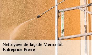 Nettoyage de façade mericourt-78270 Entreprise Pierre