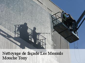 Nettoyage de façade