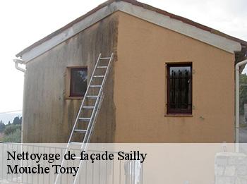 Nettoyage de façade  sailly-78440 Mouche Tony