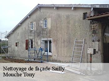 Nettoyage de façade  78440