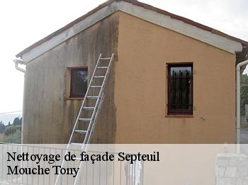 Nettoyage de façade  septeuil-78790 Mouche Tony
