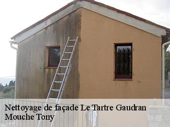 Nettoyage de façade  le-tartre-gaudran-78113 Mouche Tony