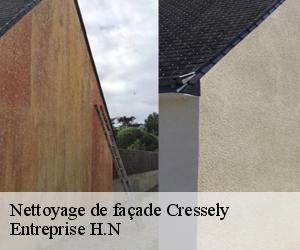 Nettoyage de façade  cressely-78114 Entreprise H.N