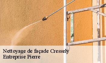 Nettoyage de façade cressely-78114 Entreprise Pierre