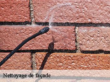 Nettoyage de façade