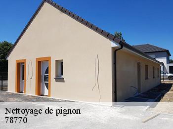 Nettoyage de pignon  78770