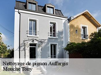 Nettoyage de pignon  78610