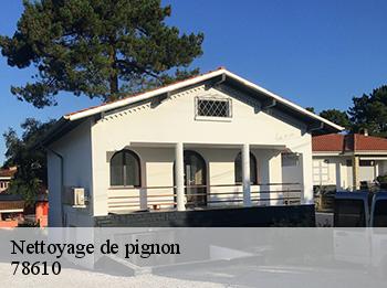 Nettoyage de pignon