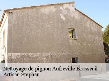 Nettoyage de pignon  aufreville-brasseuil-78930 Artisan Stephan